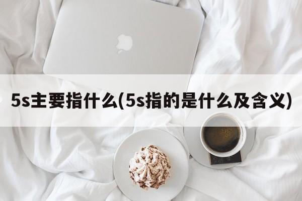 5s主要指什么(5s指的是什么及含义)